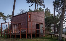 Bungalow B9 - Nature, Beach & River